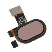 lcp08-31-b0001-3.jpg